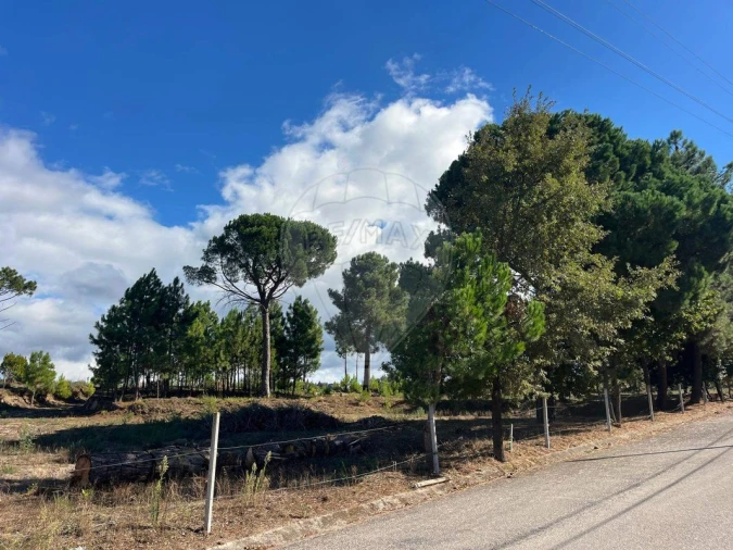 Terreno para Venda em Nogueira do Cravo Foto 4