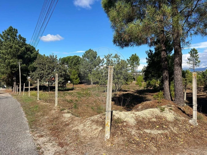 Terreno para Venda em Nogueira do Cravo Foto 7