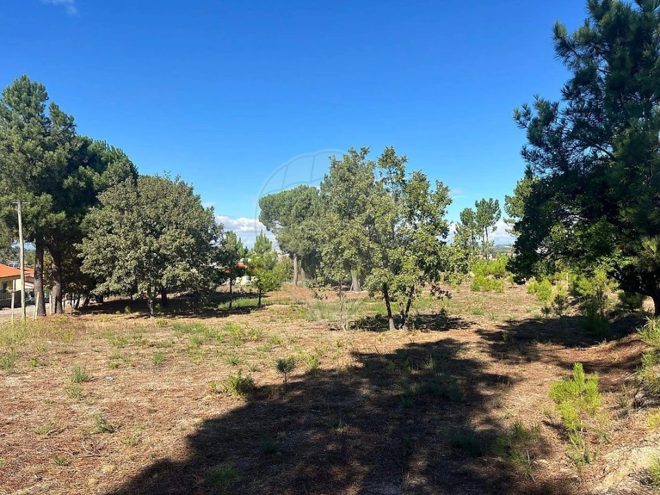 Terreno para Venda em Nogueira do Cravo Foto 10