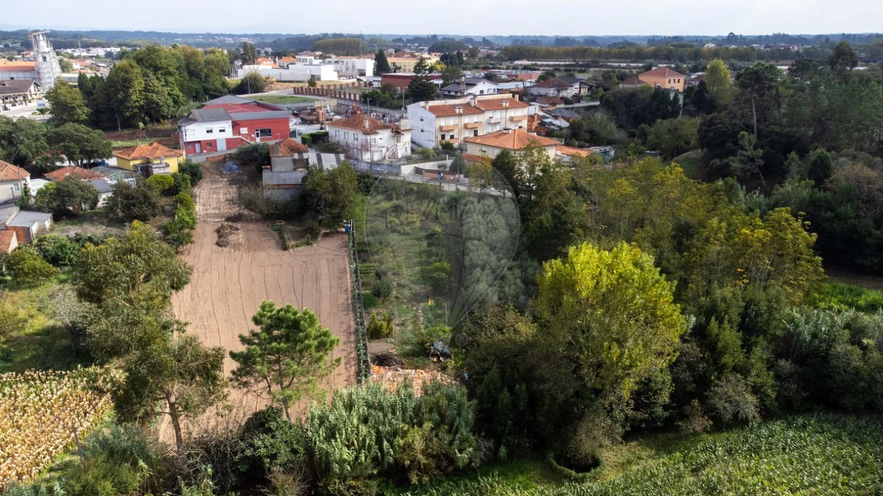 Terreno para Venda em Bustos, Troviscal e Mamarrosa Foto 12