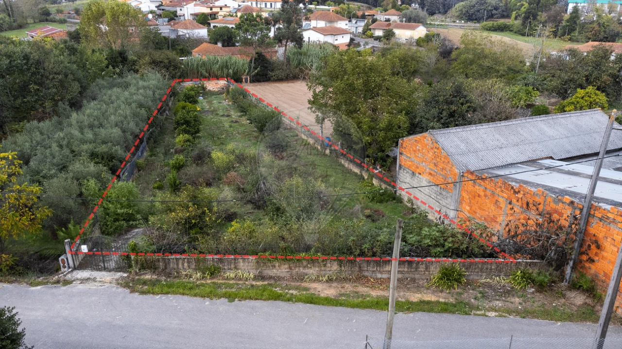Terreno para Venda em Bustos, Troviscal e Mamarrosa Foto 40