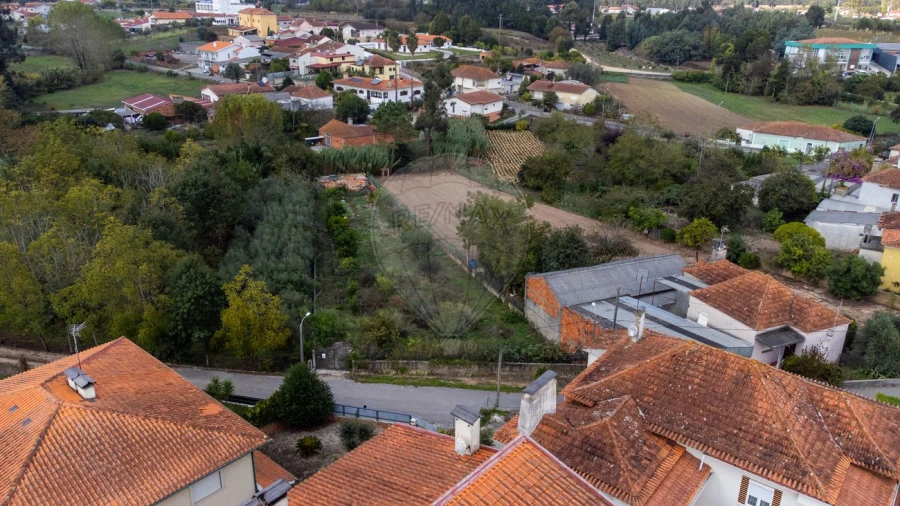Terreno para Venda em Bustos, Troviscal e Mamarrosa Foto 13