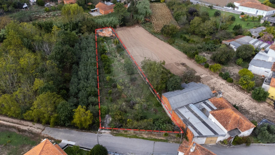 Terreno para Venda em Bustos, Troviscal e Mamarrosa Foto 2