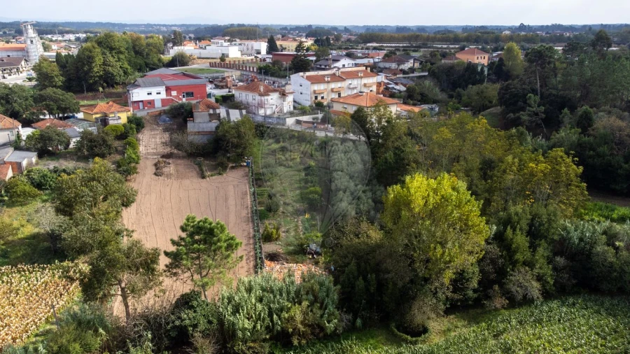 Terreno para Venda em Bustos, Troviscal e Mamarrosa Foto 12