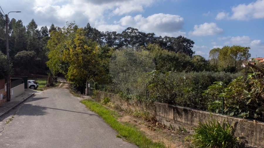 Terreno para Venda em Bustos, Troviscal e Mamarrosa Foto 11
