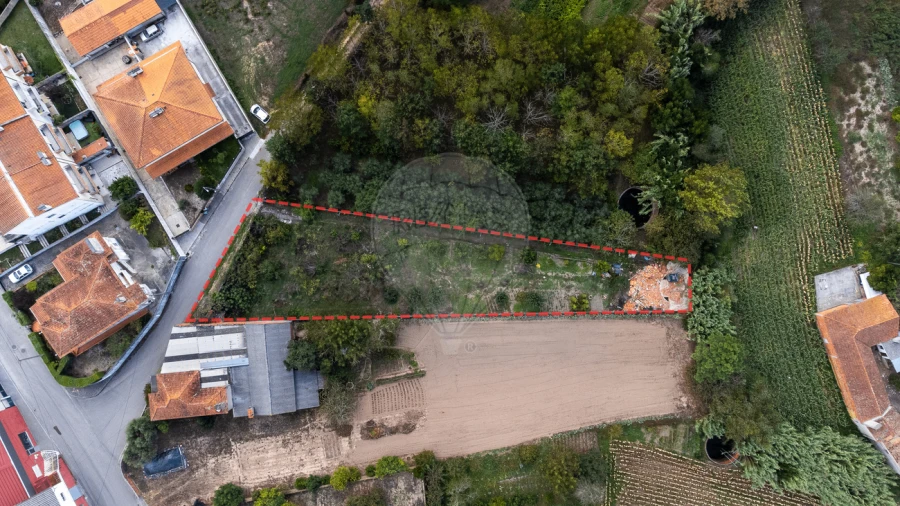 Terreno para Venda em Bustos, Troviscal e Mamarrosa Foto 41