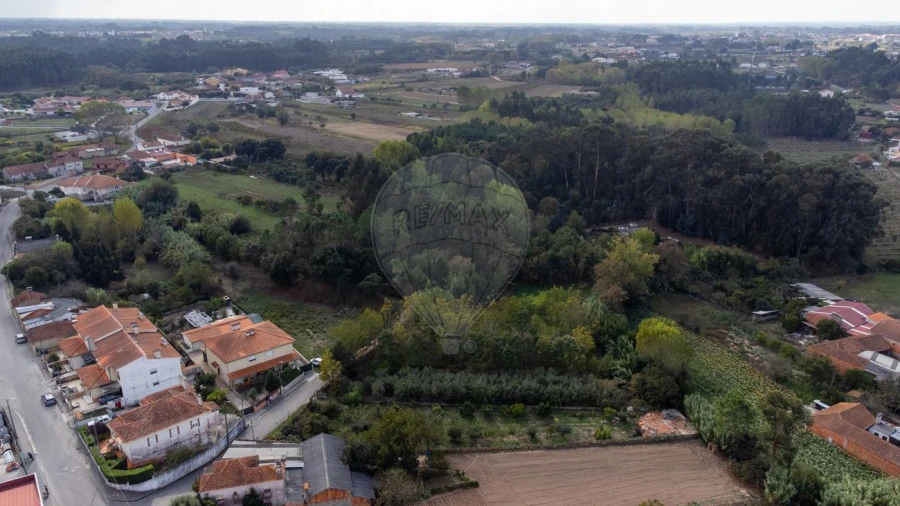 Terreno para Venda em Bustos, Troviscal e Mamarrosa Foto 26