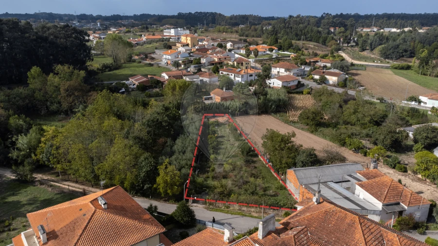 Terreno para Venda em Bustos, Troviscal e Mamarrosa Foto 37