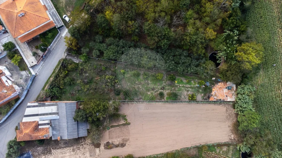 Terreno para Venda em Bustos, Troviscal e Mamarrosa Foto 3