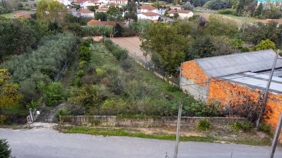 Terreno para Venda em Bustos, Troviscal e Mamarrosa Foto 10