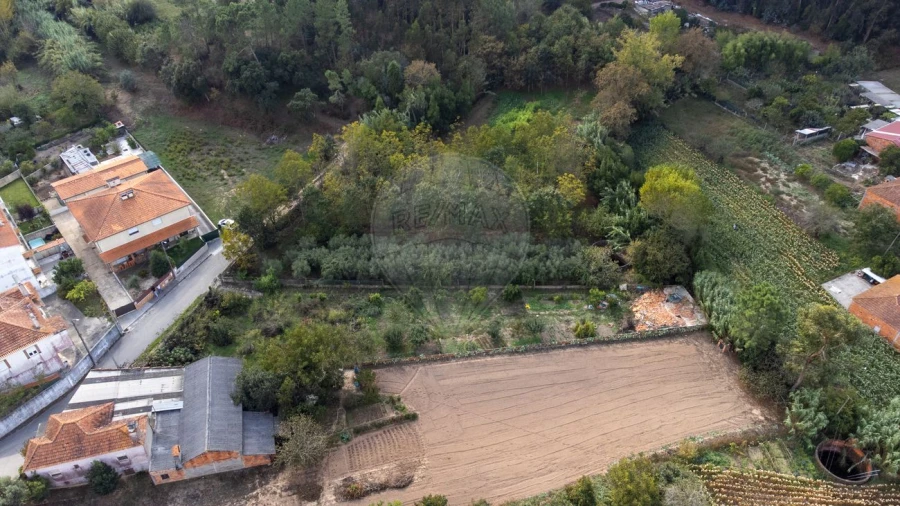 Terreno para Venda em Bustos, Troviscal e Mamarrosa Foto 14
