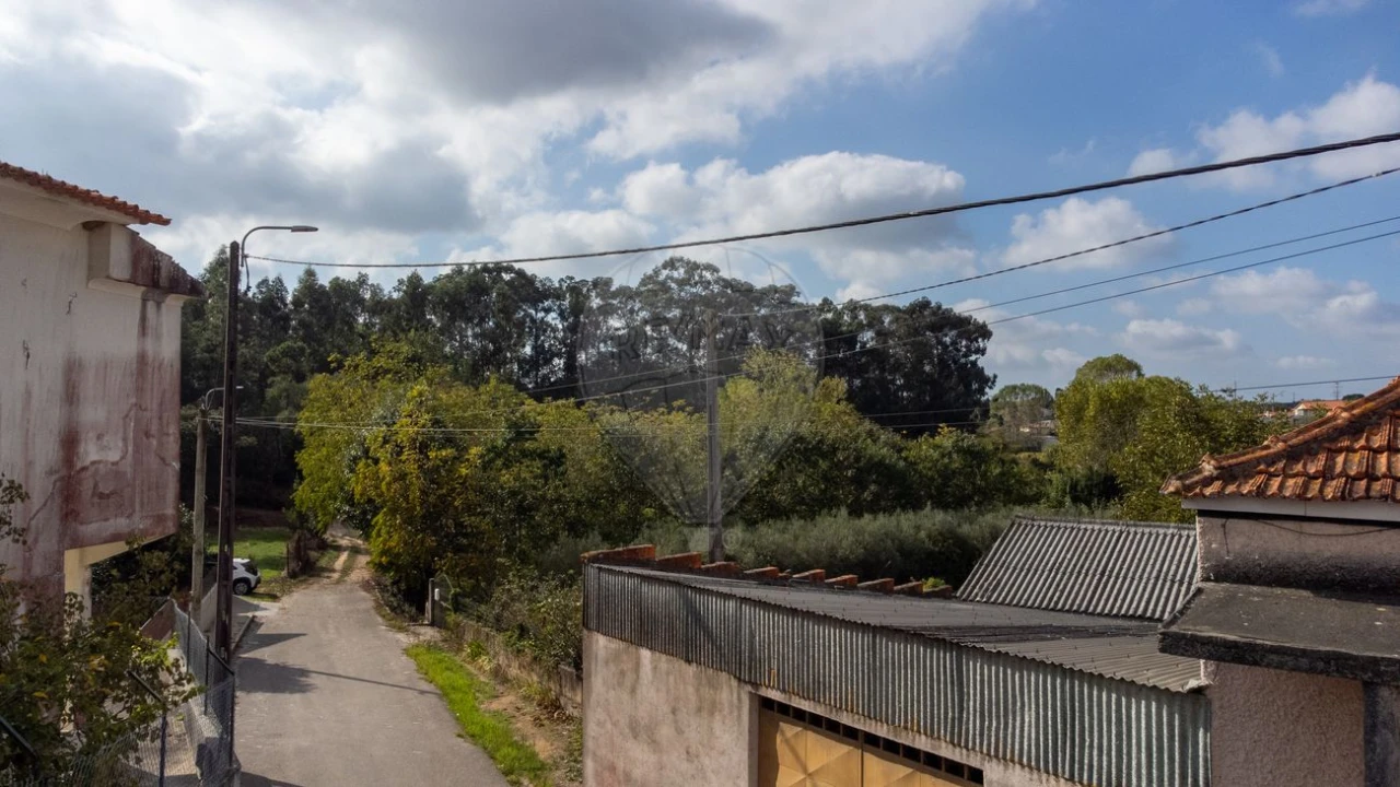 Terreno para Venda em Bustos, Troviscal e Mamarrosa Foto 18