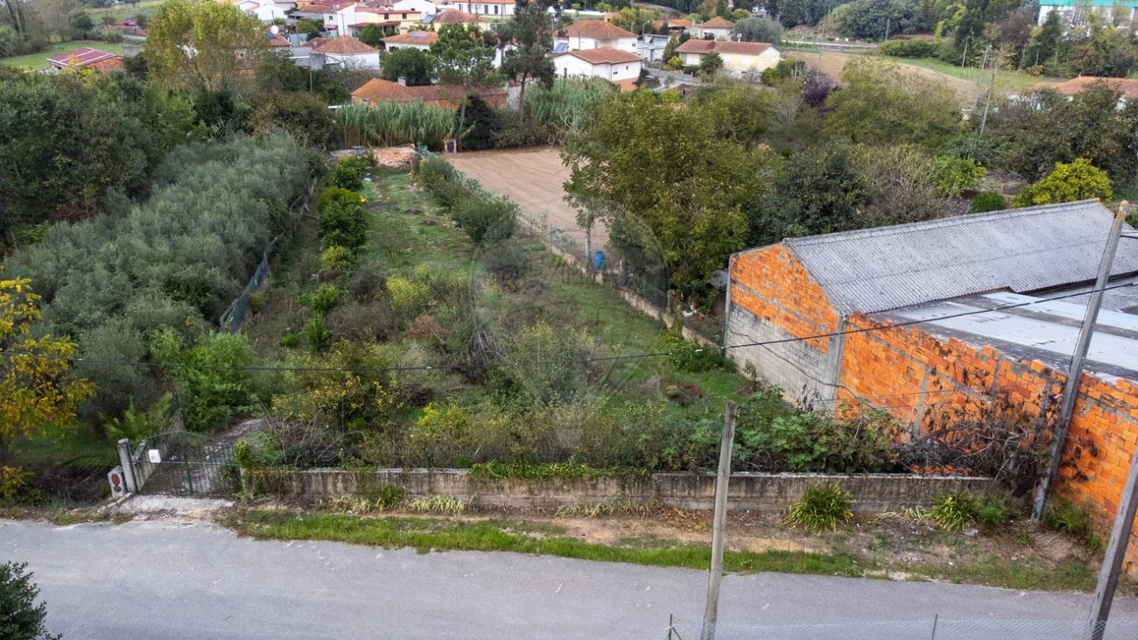 Terreno para Venda em Bustos, Troviscal e Mamarrosa Foto 30