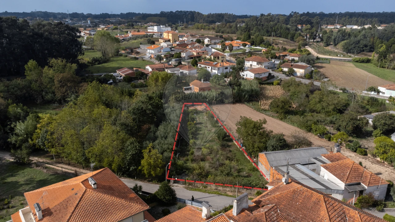Terreno para Venda em Bustos, Troviscal e Mamarrosa Foto 37