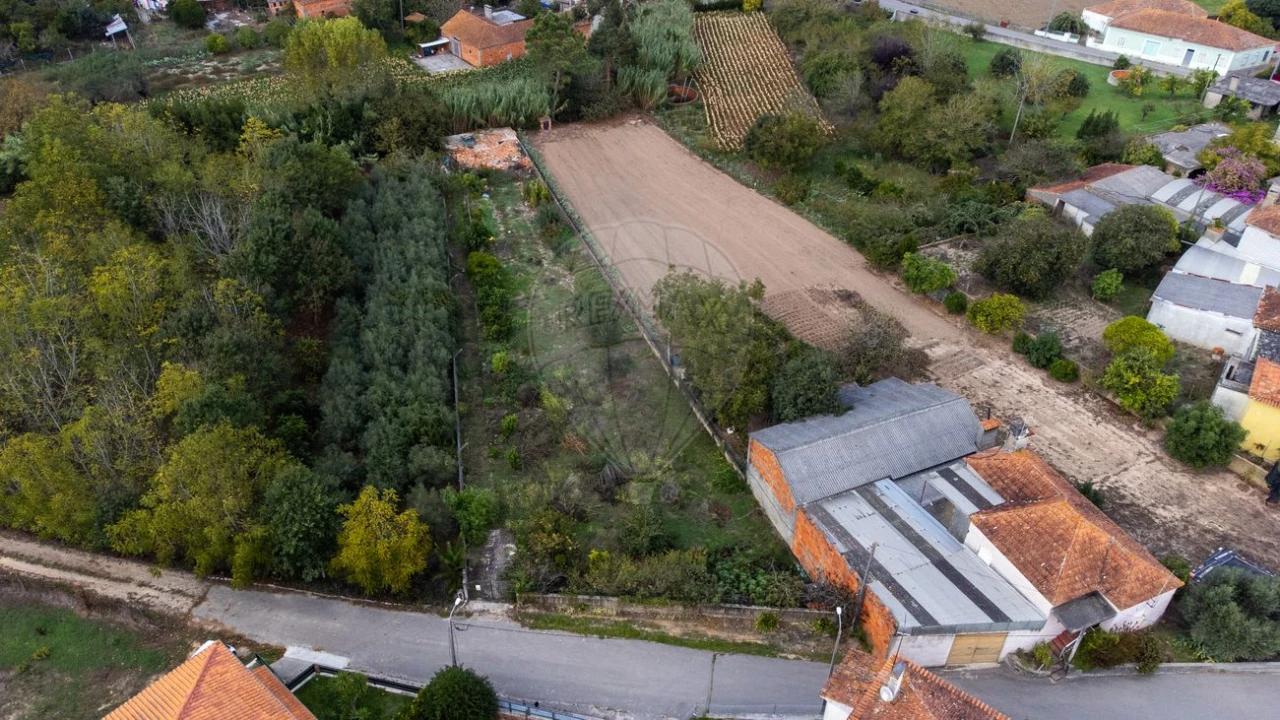 Terreno para Venda em Bustos, Troviscal e Mamarrosa Foto 4