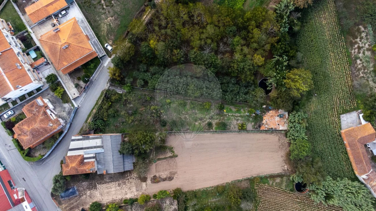 Terreno para Venda em Bustos, Troviscal e Mamarrosa Foto 17