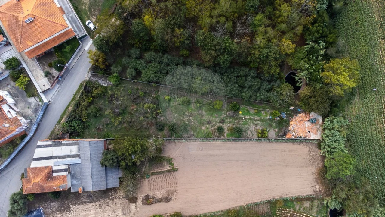 Terreno para Venda em Bustos, Troviscal e Mamarrosa Foto 3
