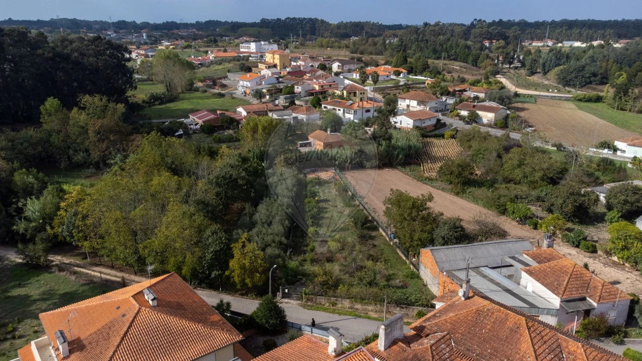 Terreno para Venda em Bustos, Troviscal e Mamarrosa Foto 7