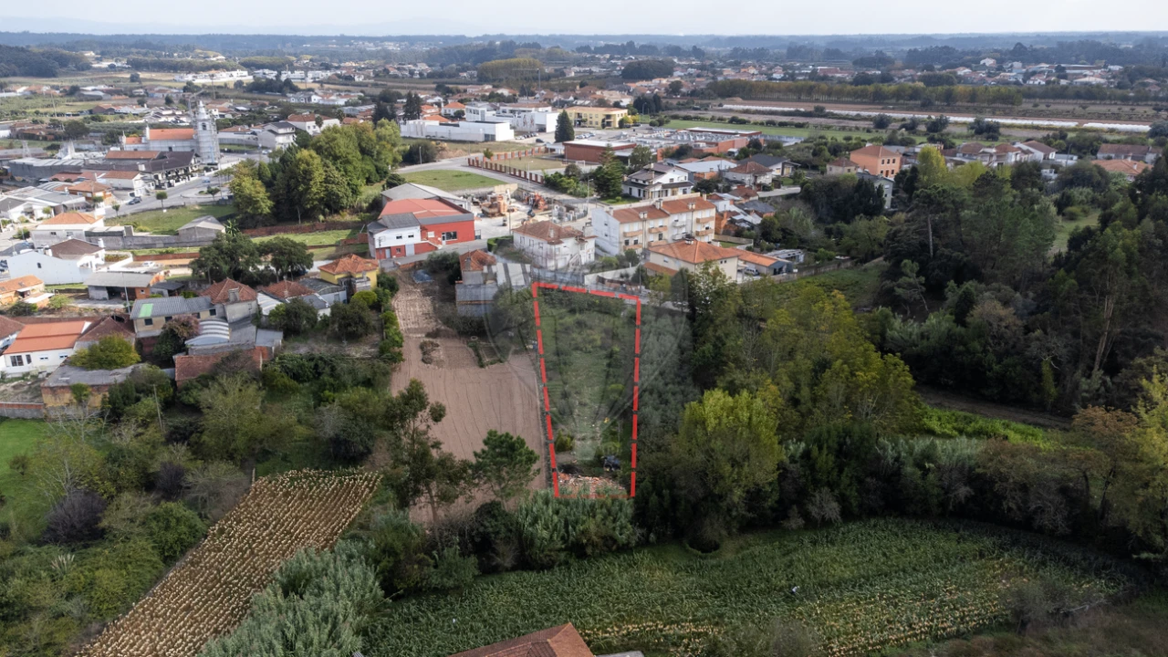 Terreno para Venda em Bustos, Troviscal e Mamarrosa Foto 38