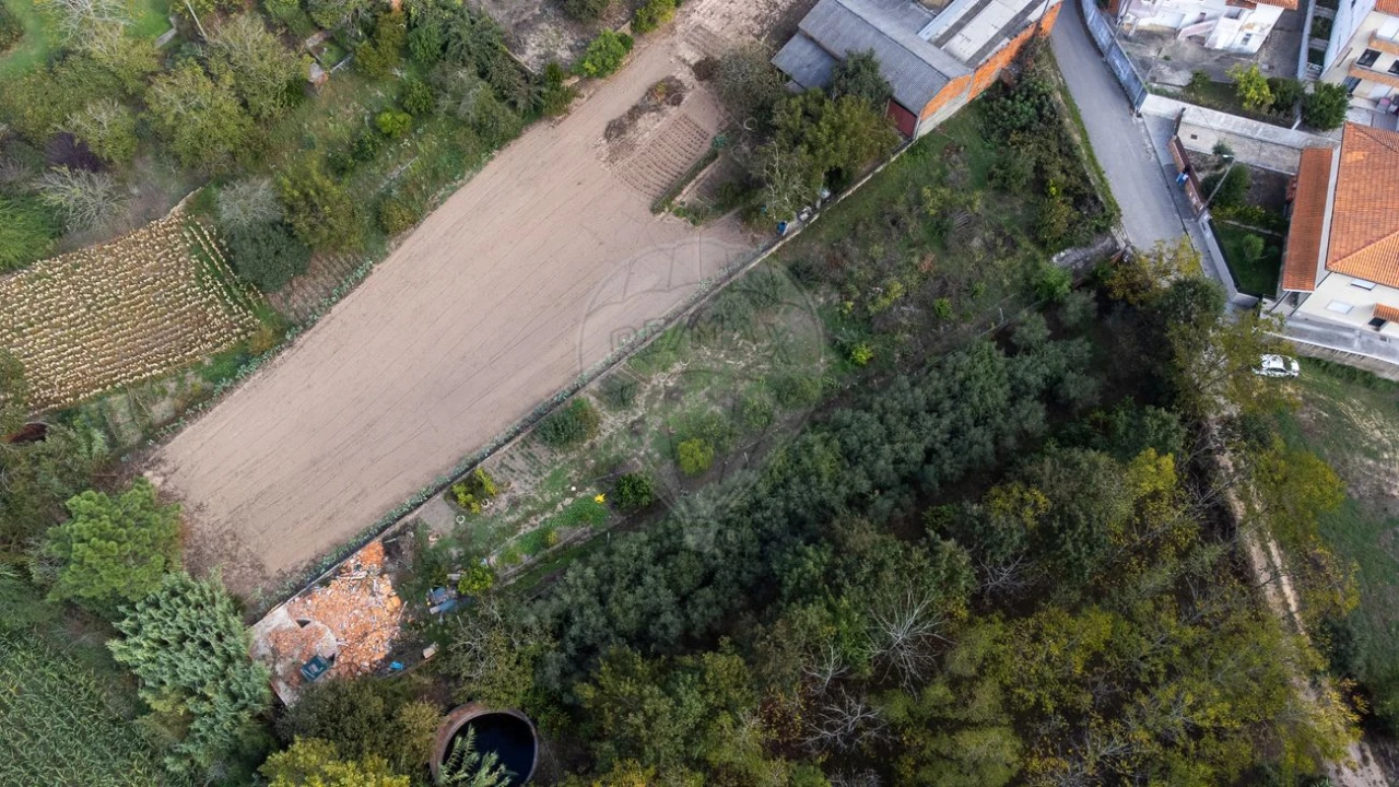 Terreno para Venda em Bustos, Troviscal e Mamarrosa Foto 24