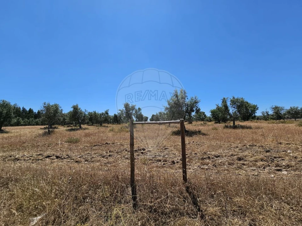 Moradia T6 para Venda em Ponte de Sor, Tramaga e Vale de Açor Foto 9
