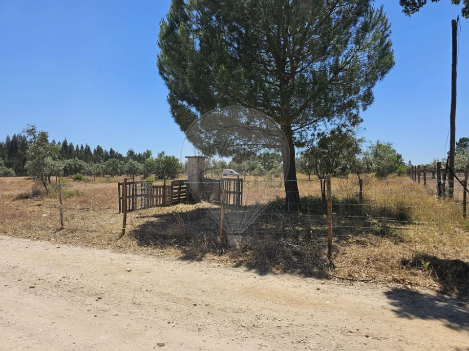 Moradia T6 para Venda em Ponte de Sor, Tramaga e Vale de Açor Foto 7