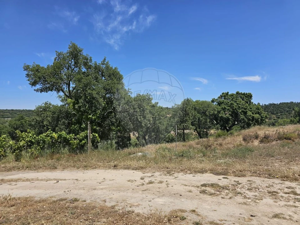 Moradia T6 para Venda em Ponte de Sor, Tramaga e Vale de Açor Foto 14
