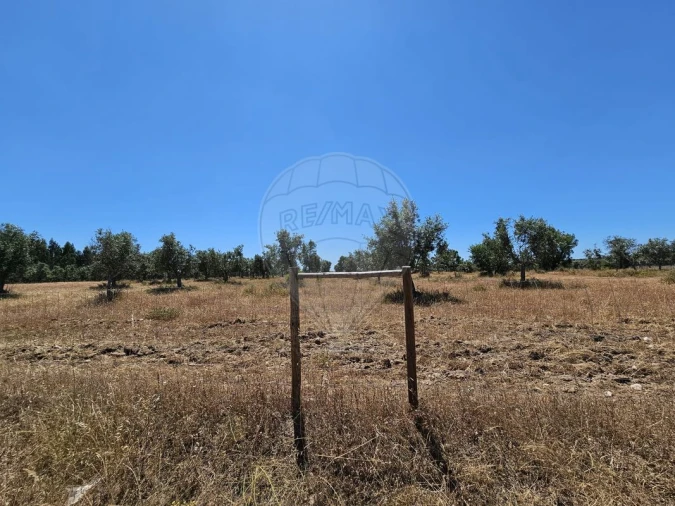Moradia T6 para Venda em Ponte de Sor, Tramaga e Vale de Açor Foto 9