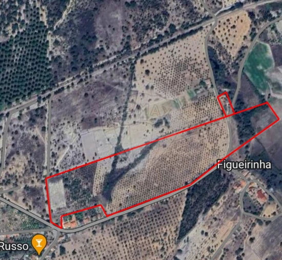 Moradia T6 para Venda em Ponte de Sor, Tramaga e Vale de Açor Foto 1