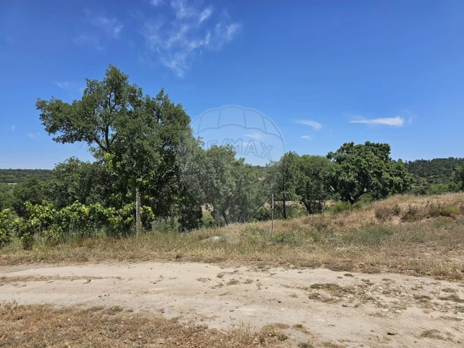 Moradia T6 para Venda em Ponte de Sor, Tramaga e Vale de Açor Foto 14