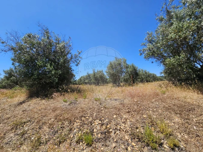 Moradia T6 para Venda em Ponte de Sor, Tramaga e Vale de Açor Foto 10