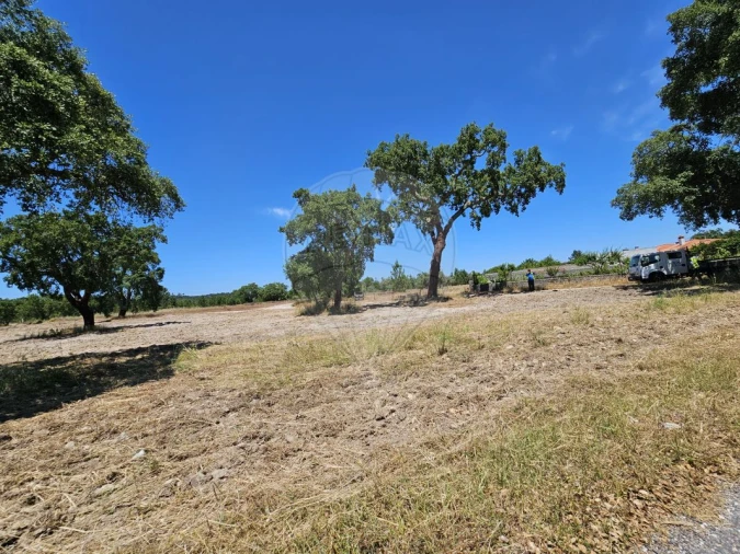 Moradia T6 para Venda em Ponte de Sor, Tramaga e Vale de Açor Foto 6