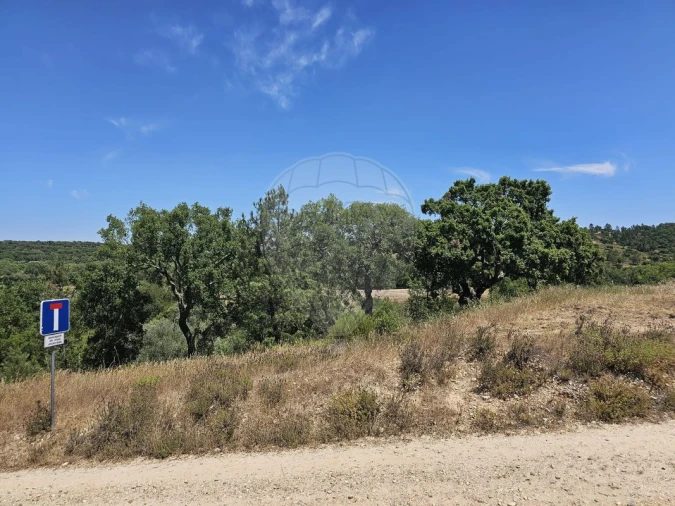 Moradia T6 para Venda em Ponte de Sor, Tramaga e Vale de Açor Foto 8