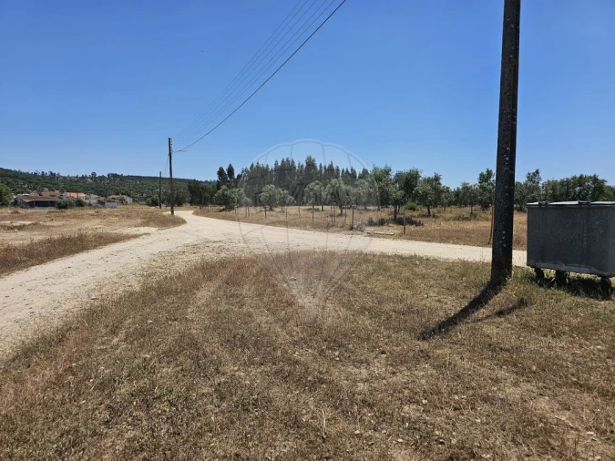 Moradia T6 para Venda em Ponte de Sor, Tramaga e Vale de Açor Foto 11