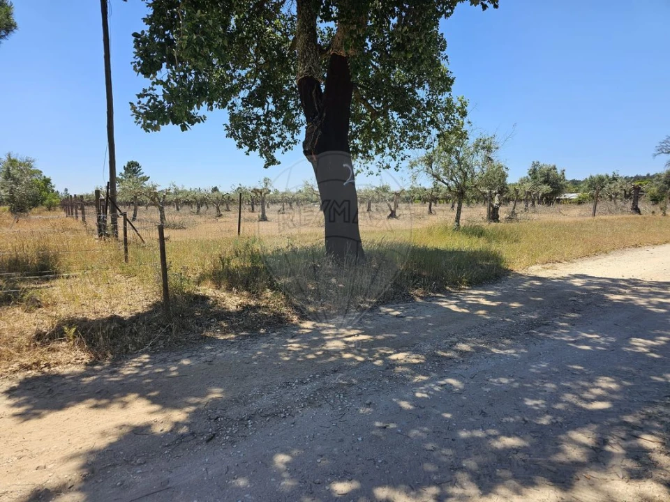 Moradia T6 para Venda em Ponte de Sor, Tramaga e Vale de Açor Foto 5