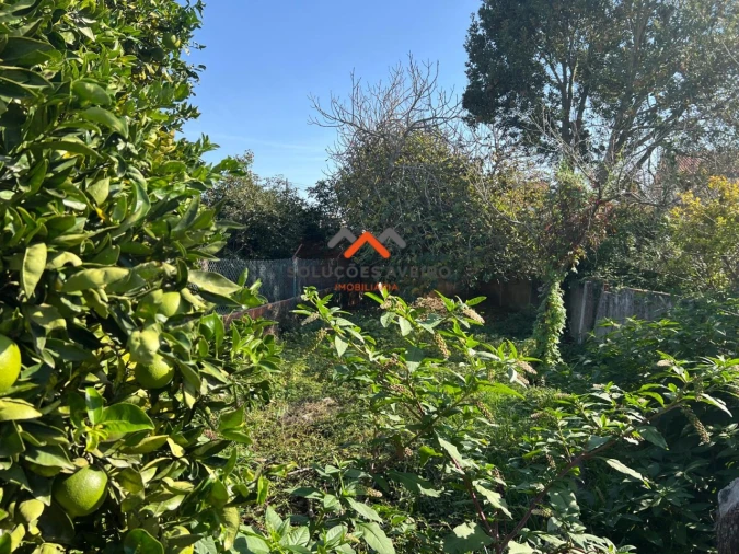 Moradia T3 para Venda em Ílhavo (São Salvador) Foto 21