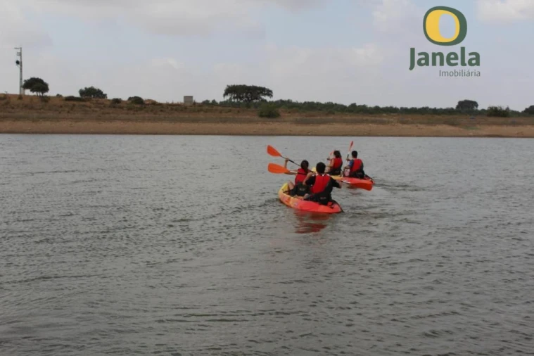 Negócio para Venda em Trigaches e São Brissos Foto 11