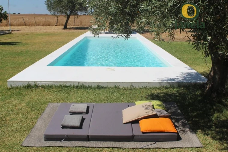 Negócio para Venda em Trigaches e São Brissos Foto 4