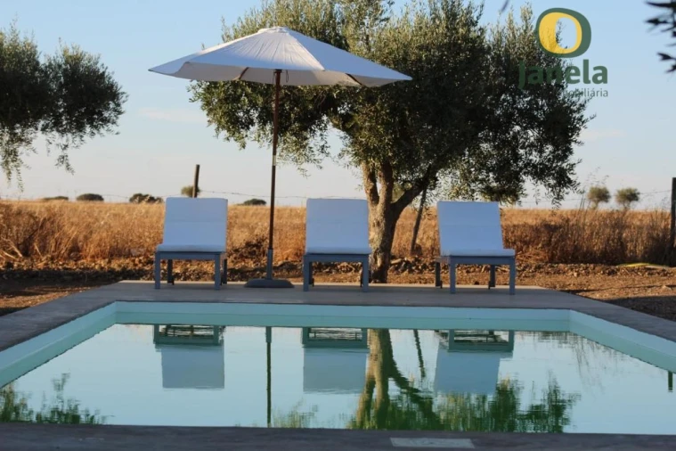 Negócio para Venda em Trigaches e São Brissos Foto 41