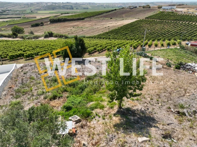 Moradia T4 para Venda em Ventosa Foto 29