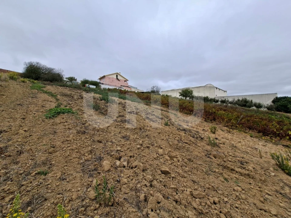 Terreno para Venda em Ventosa Foto 9