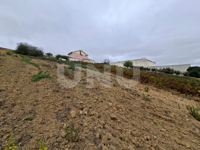 Terreno para Venda em Ventosa Foto 9