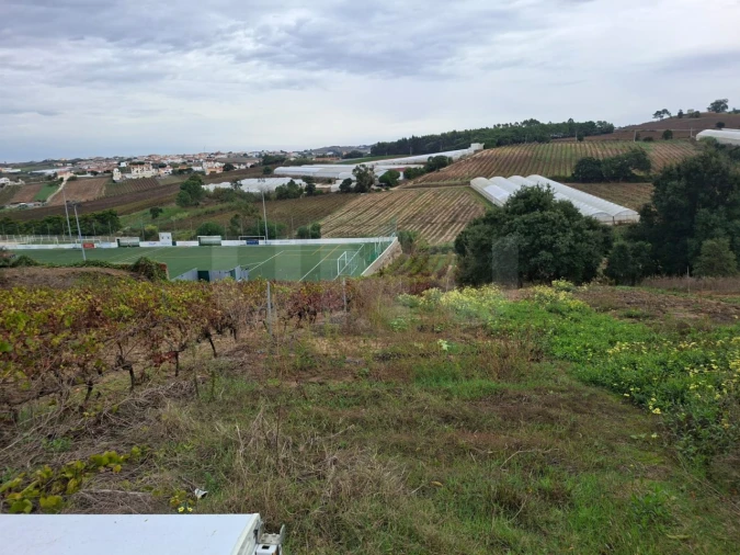 Terreno para Venda em Ventosa Foto 2