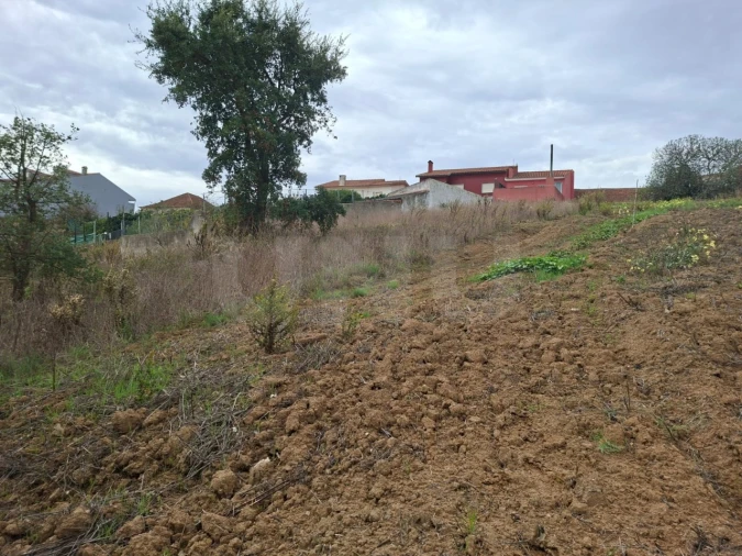 Terreno para Venda em Ventosa Foto 6