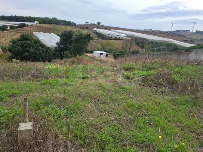 Terreno para Venda em Ventosa Foto 8