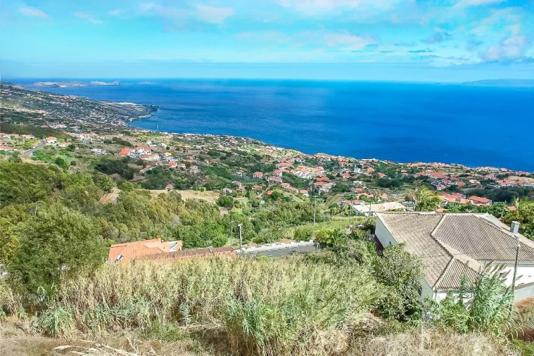 Terreno para Venda em Gaula Foto 14