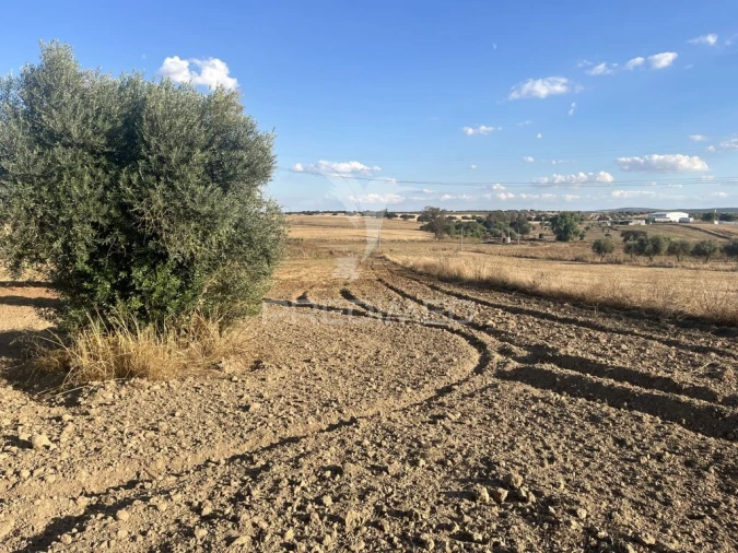 Terreno para Venda em Alfundão e Peroguarda Foto 10