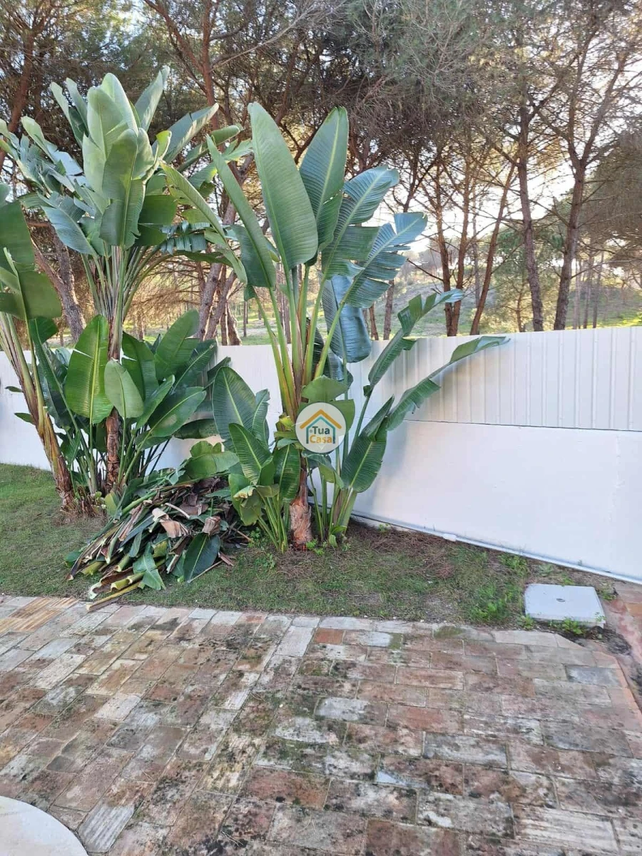 Moradia T5 para Arrendamento em Almancil Foto 11