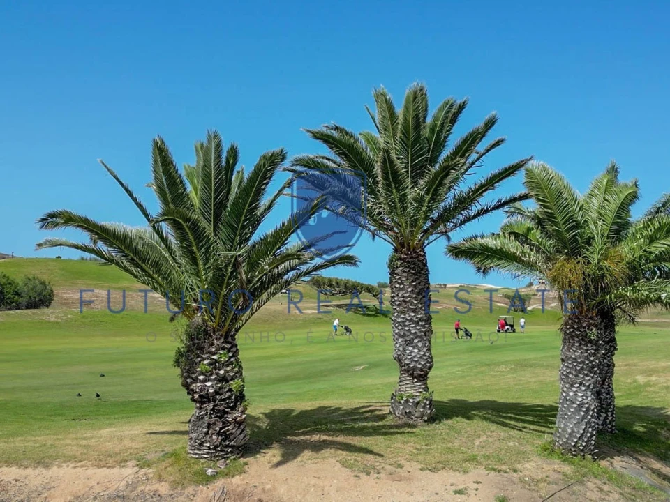 Terreno para Venda em Porto Santo Foto 22
