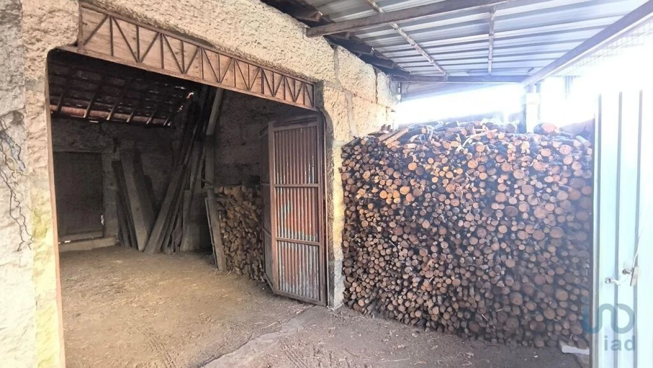 Moradia para Venda em Orgens Foto 5